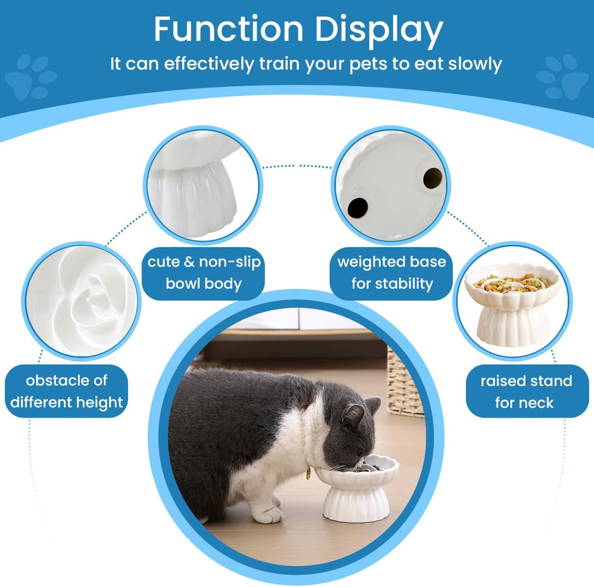 Ceramic Slow Feed Dish