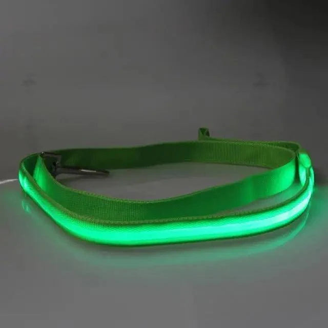 Dog Harness Vehicle Seatbelt