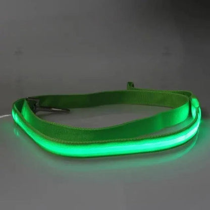 Dog Harness Vehicle Seatbelt