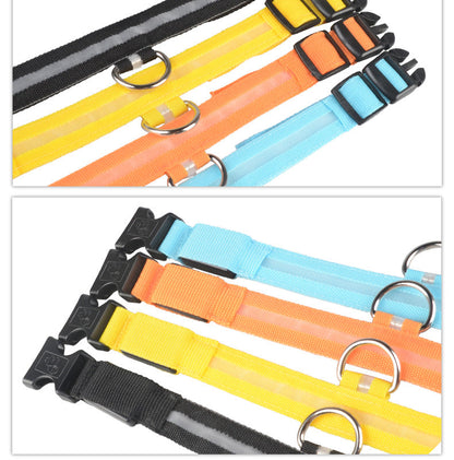 Glow in Dark Dog/Cat Leash