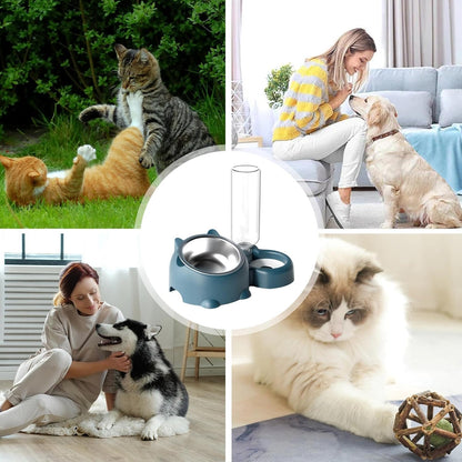 Food And Water Bowl Set