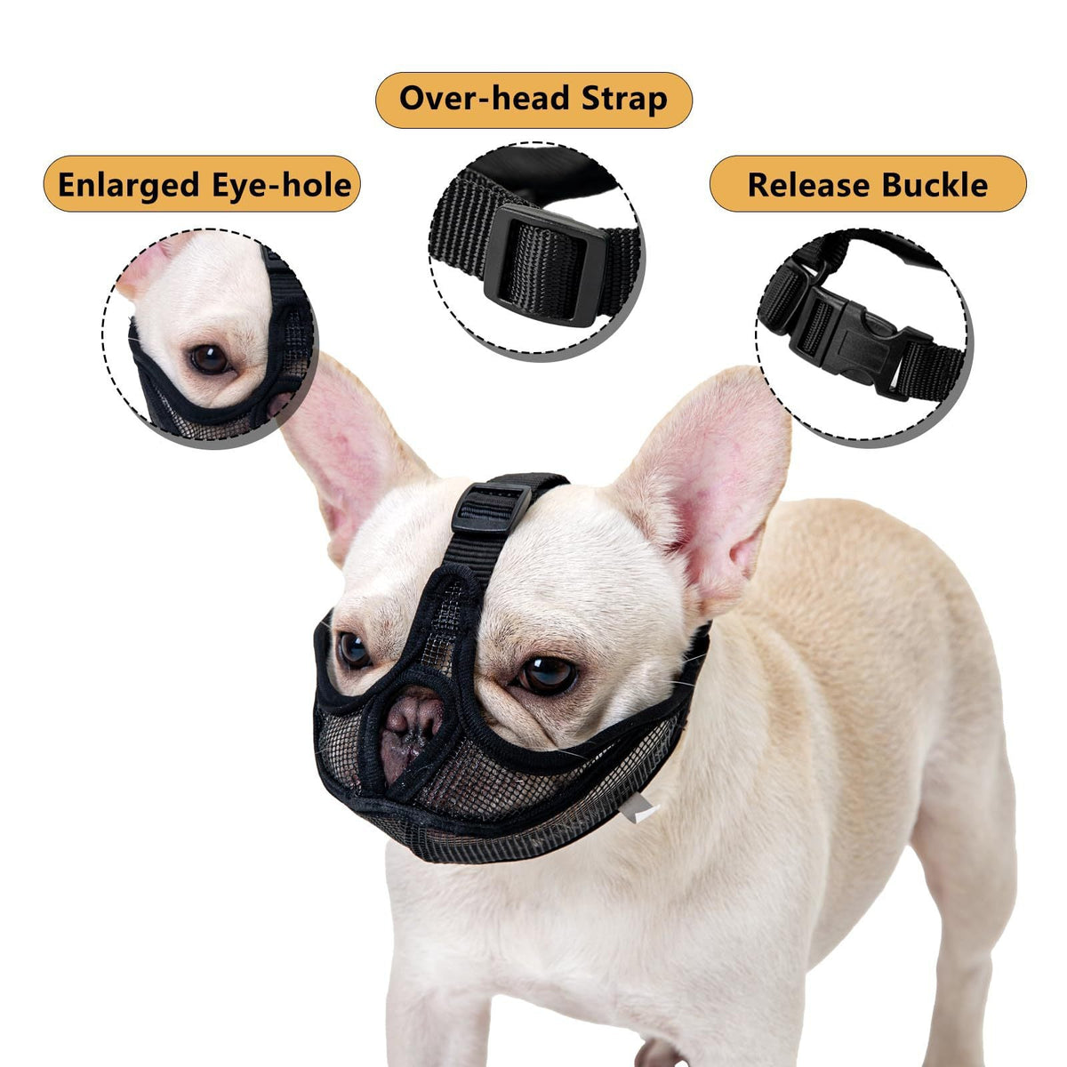 Short-Snouted Pug Face Mask