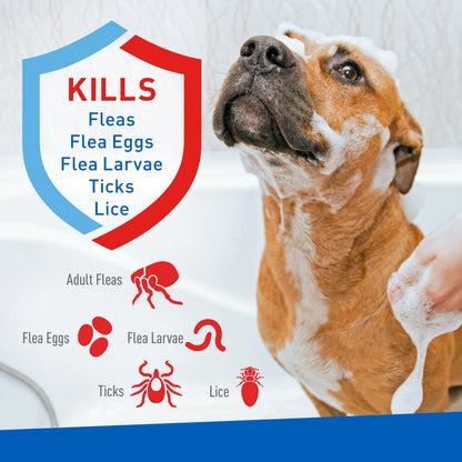 Flea & Tick Foaming Shampoo