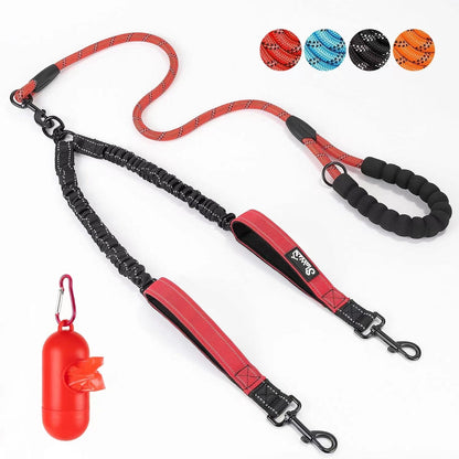 Double Dog Leash