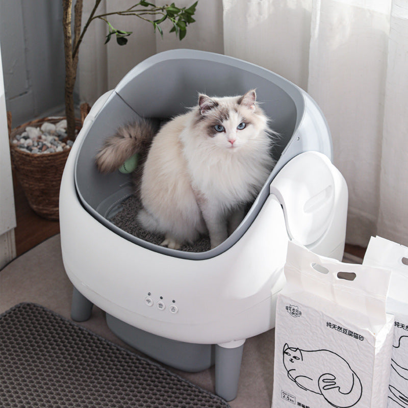 Automatic Cat Litter Box