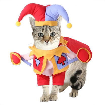 Pet Costume