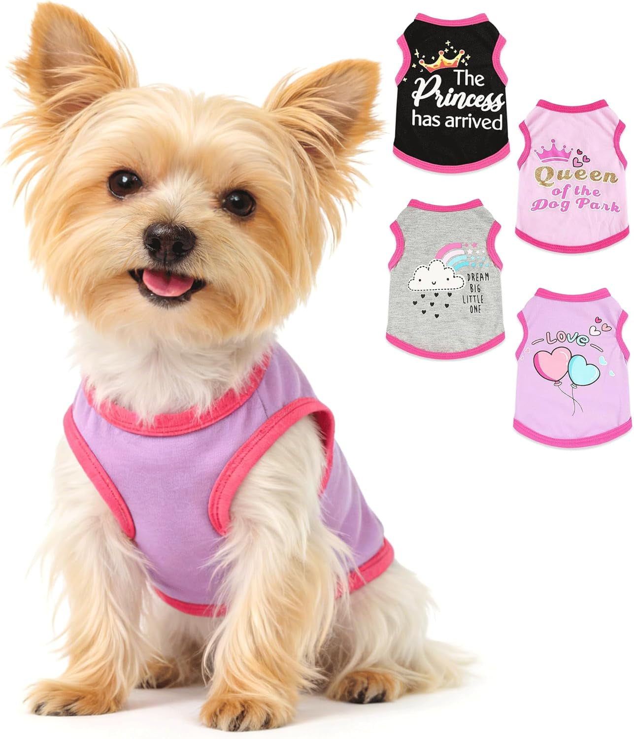 Small Dog Shirts
