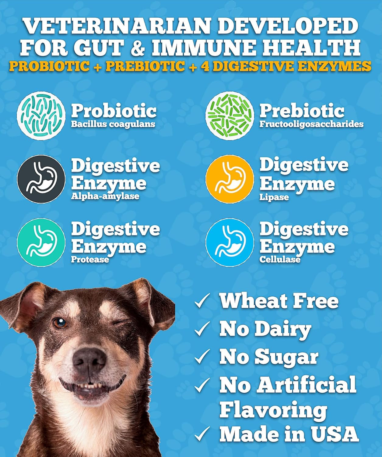 Probiotics for Dogs