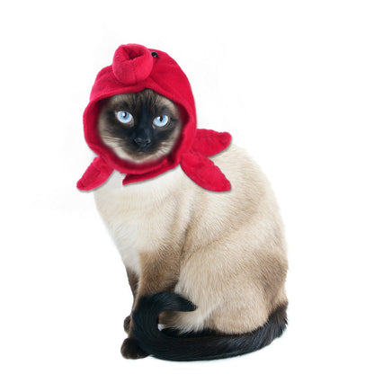 Funny Pet Costume