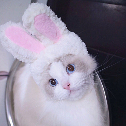 Funny Pet Costume
