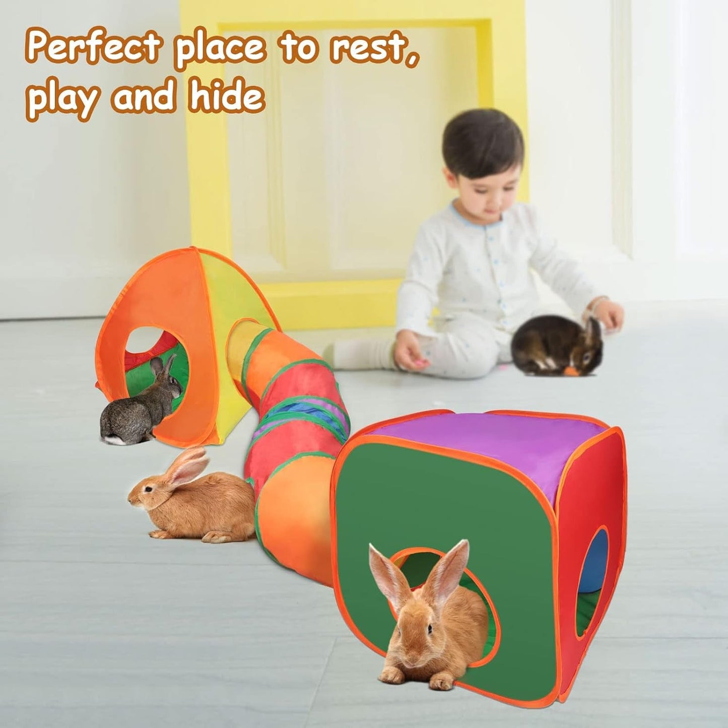 Rabbit Tunnel Toy