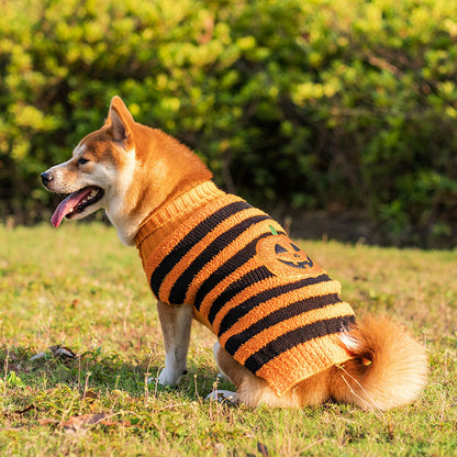 Halloween Pet Costume