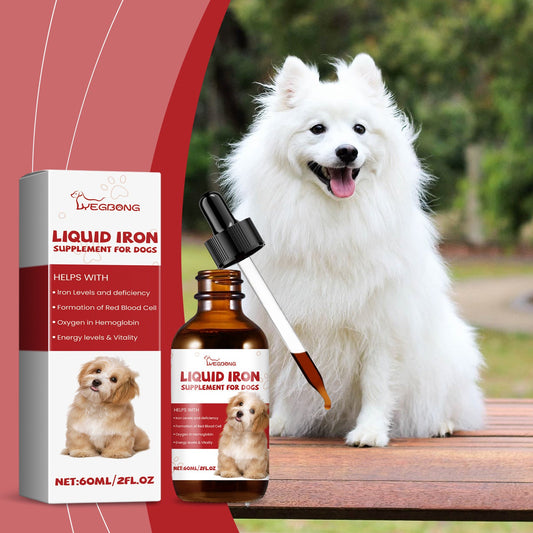 Care For Pet Dogs