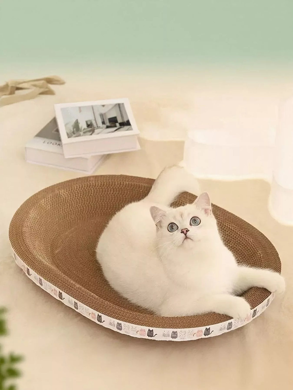 Cat Scratching Bed
