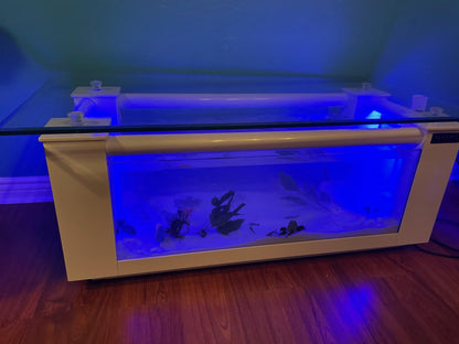 Aquarium Fish Tank