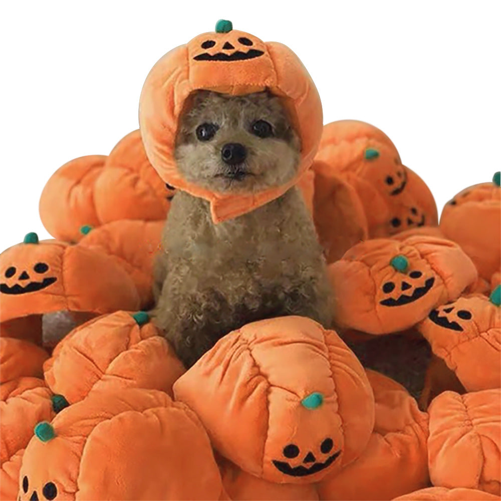 Funny Pet Costume