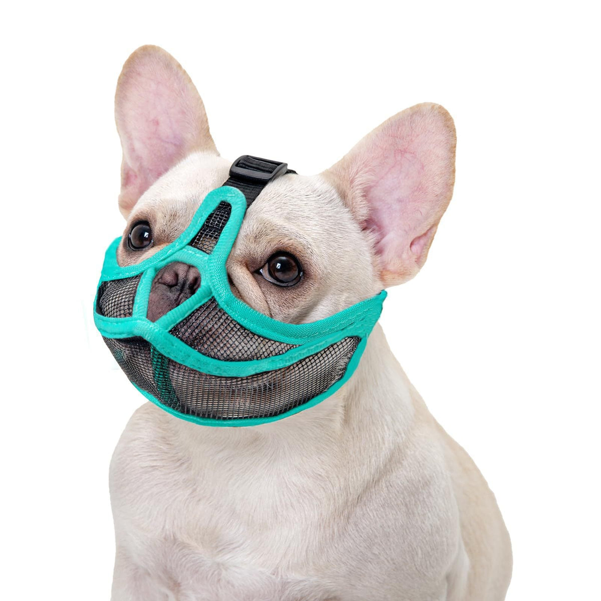 Short-Snouted Pug Face Mask