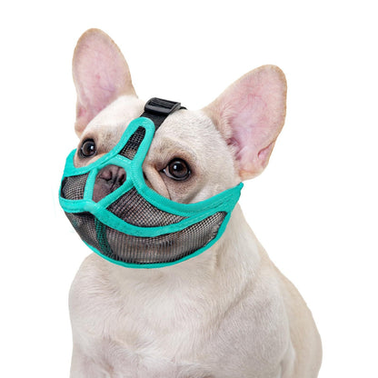 Short-Snouted Pug Face Mask