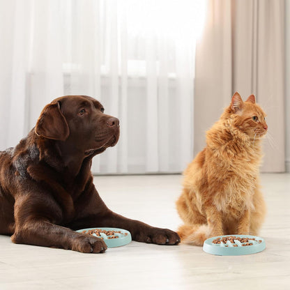 Cat Slow Feeder Bowl
