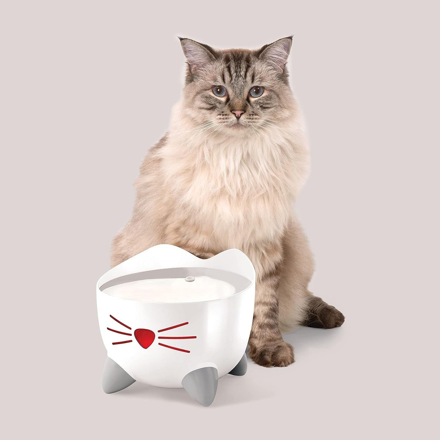 Cat Water Fountain