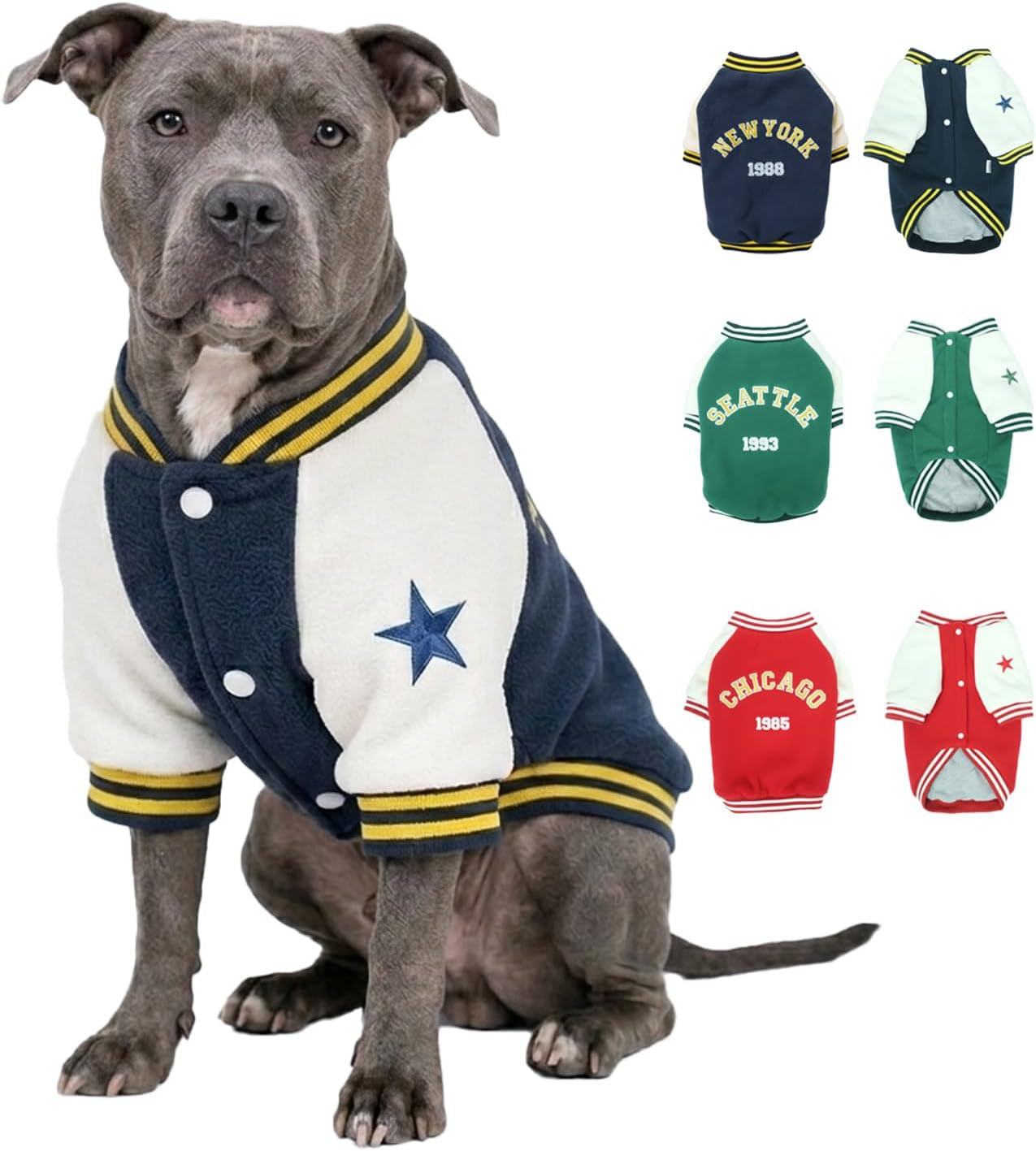 Warm Dog Varsity Jacket