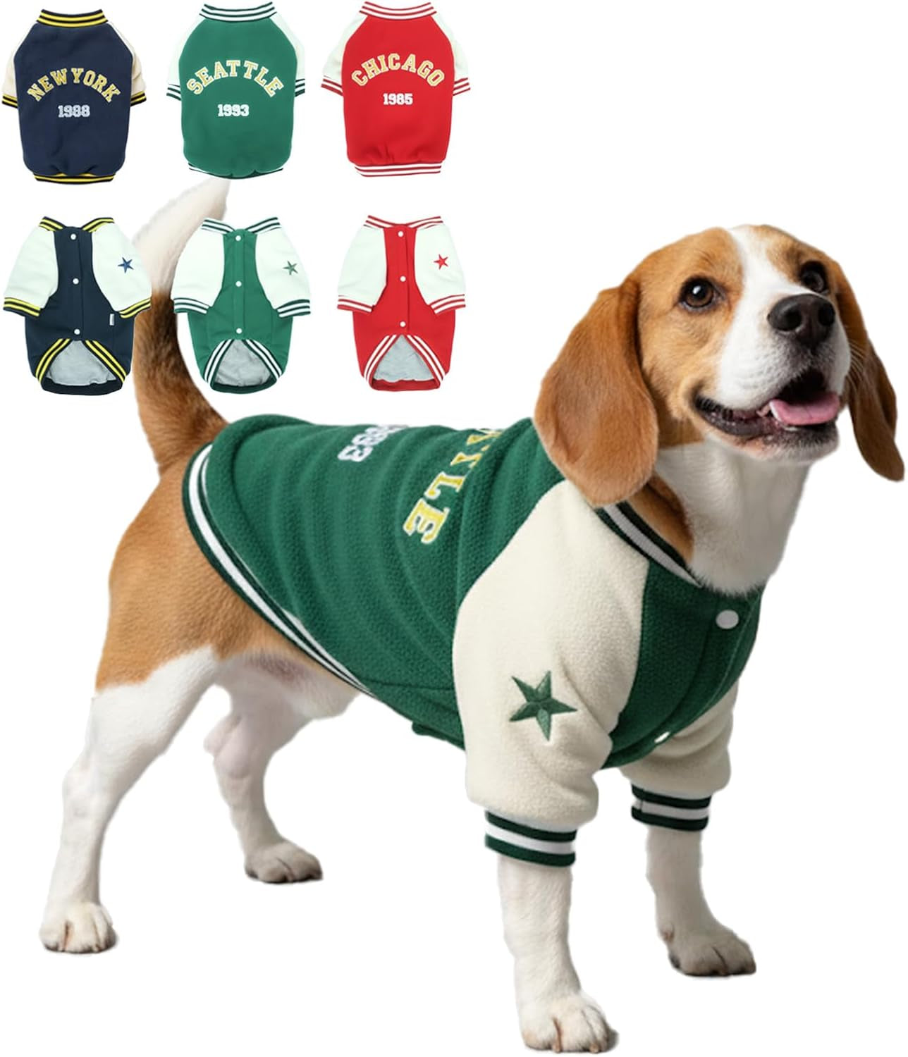 Warm Dog Varsity Jacket
