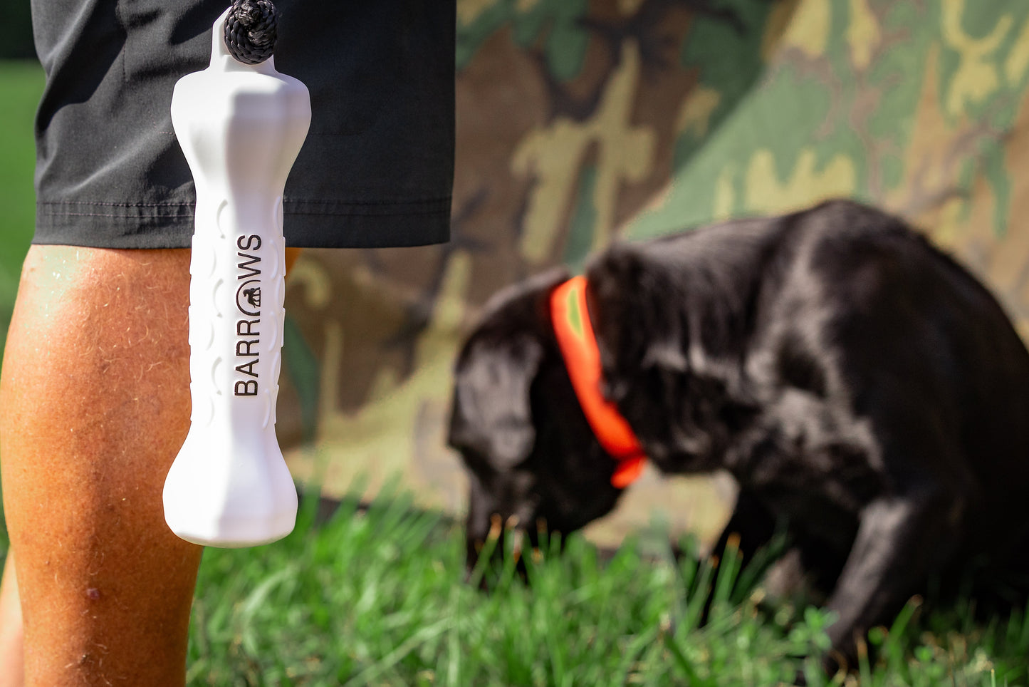 Training Bumper Pack