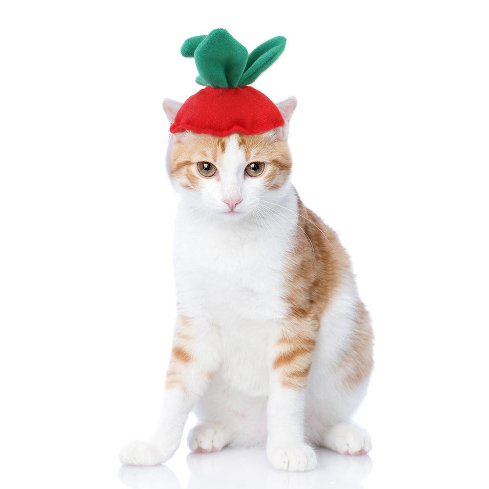 Funny Pet Costume