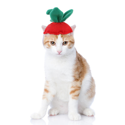 Funny Pet Costume