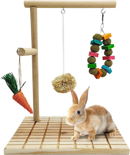 Rabbit Chew Toys
