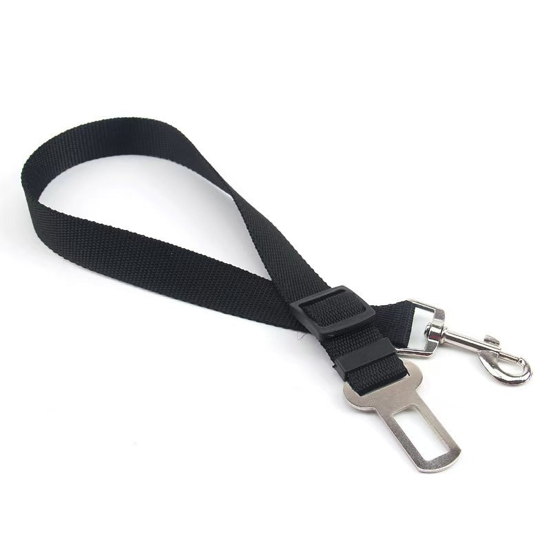 Seat Belt Harness