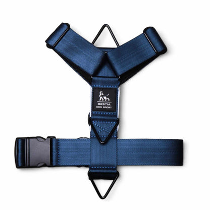 Basic Harness
