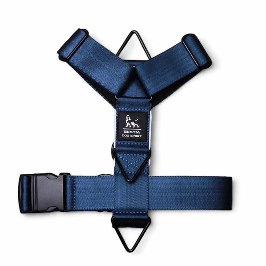 Basic Harness
