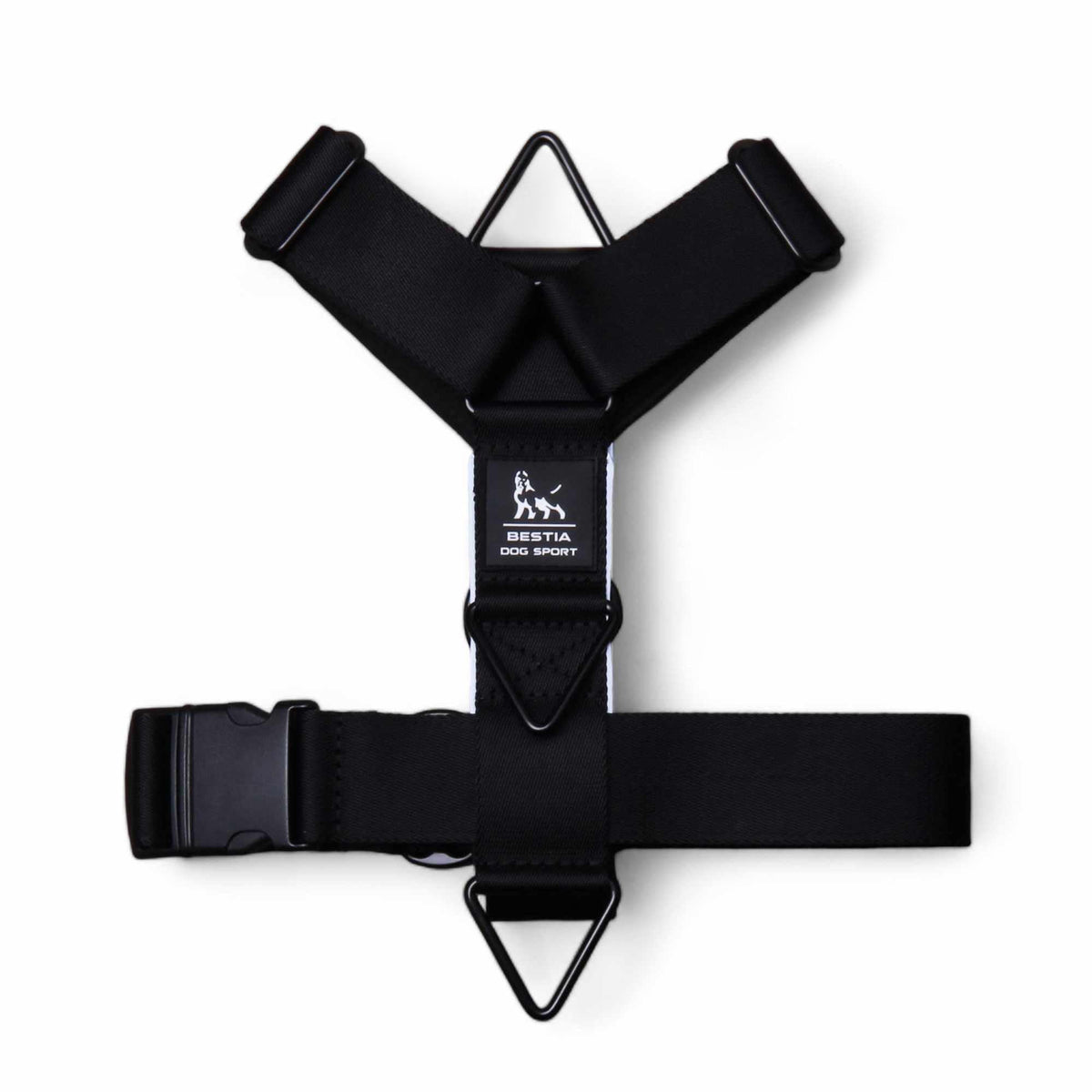 Basic Harness