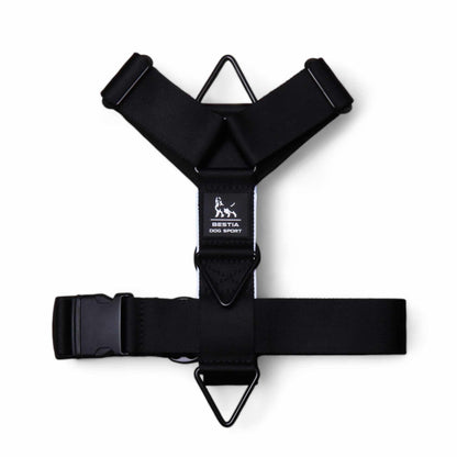 Basic Harness