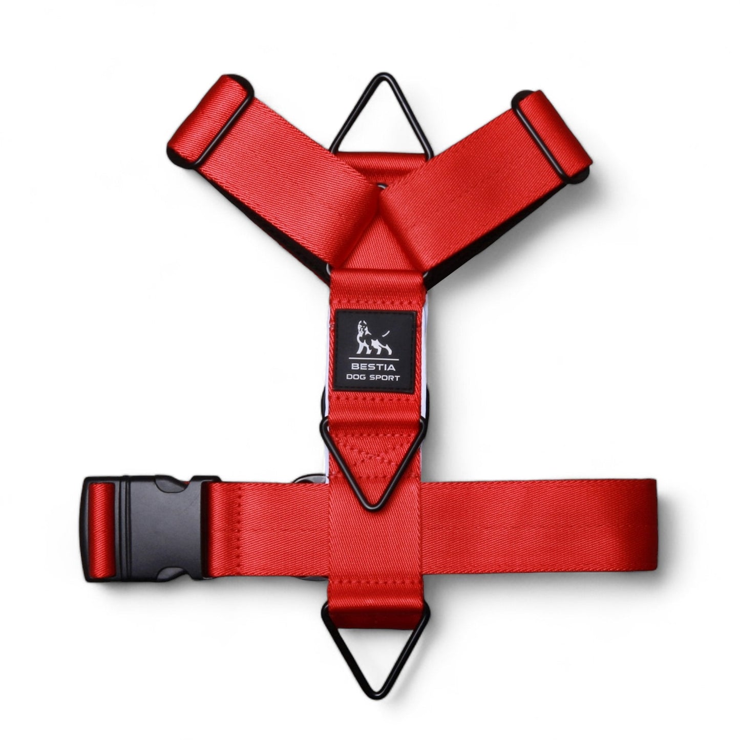 Basic Harness