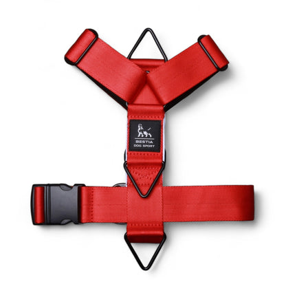 Basic Harness