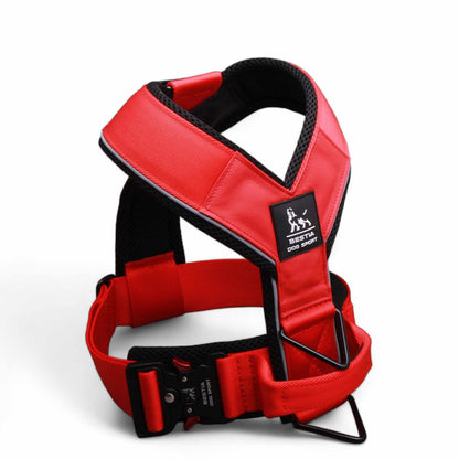 Heavy Duty Harness