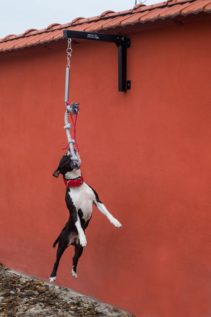 Spring Pole Set