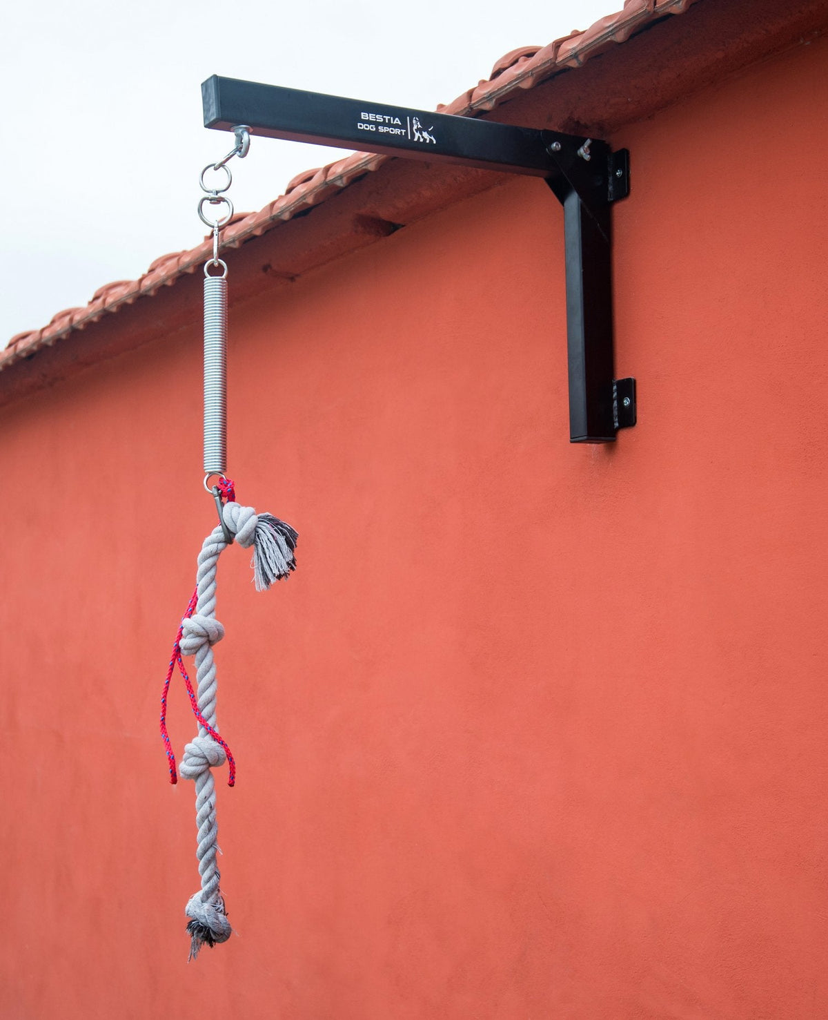 Spring Pole Set