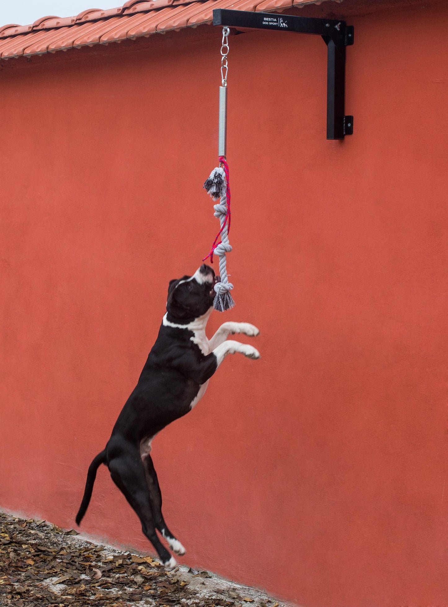 Spring Pole Set
