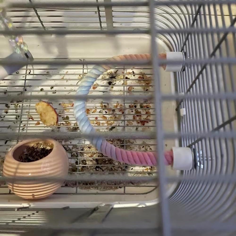 Bird Rope Perch Stand