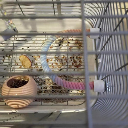 Bird Rope Perch Stand
