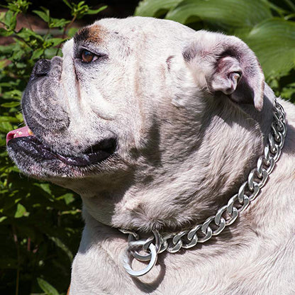 Steel Collar