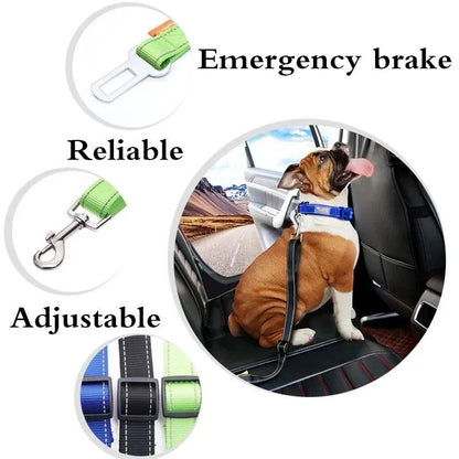 Seat Belt Harness
