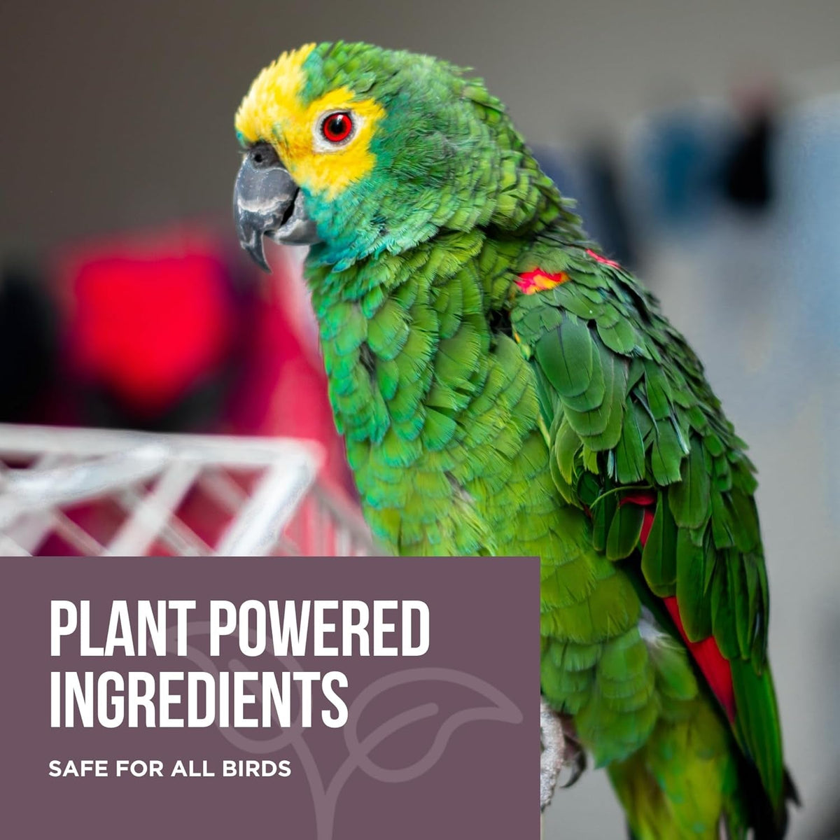 Bird Cage Cleaner