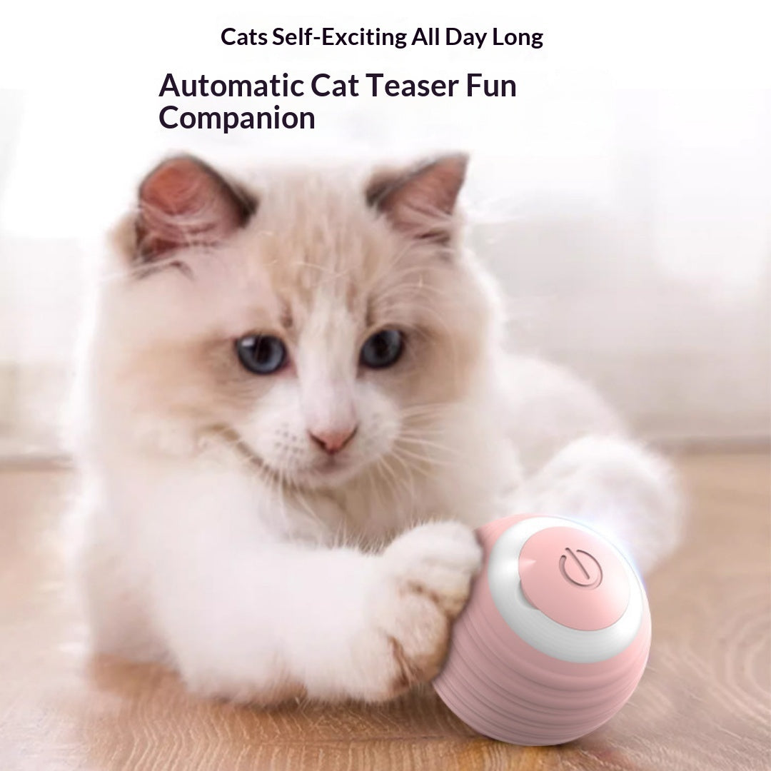Cat Toy Ball