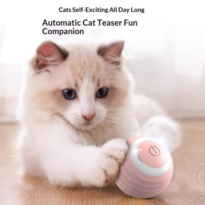 Cat Toy Ball