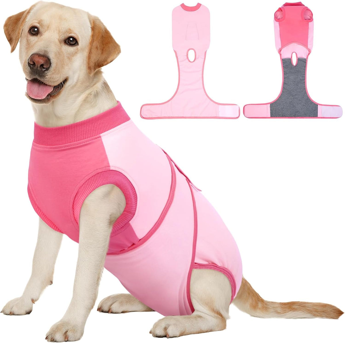 Female Dog Recovery Suit — Post-Spay & Surgery Coverage, Soft & Breathable (XS–2XL)