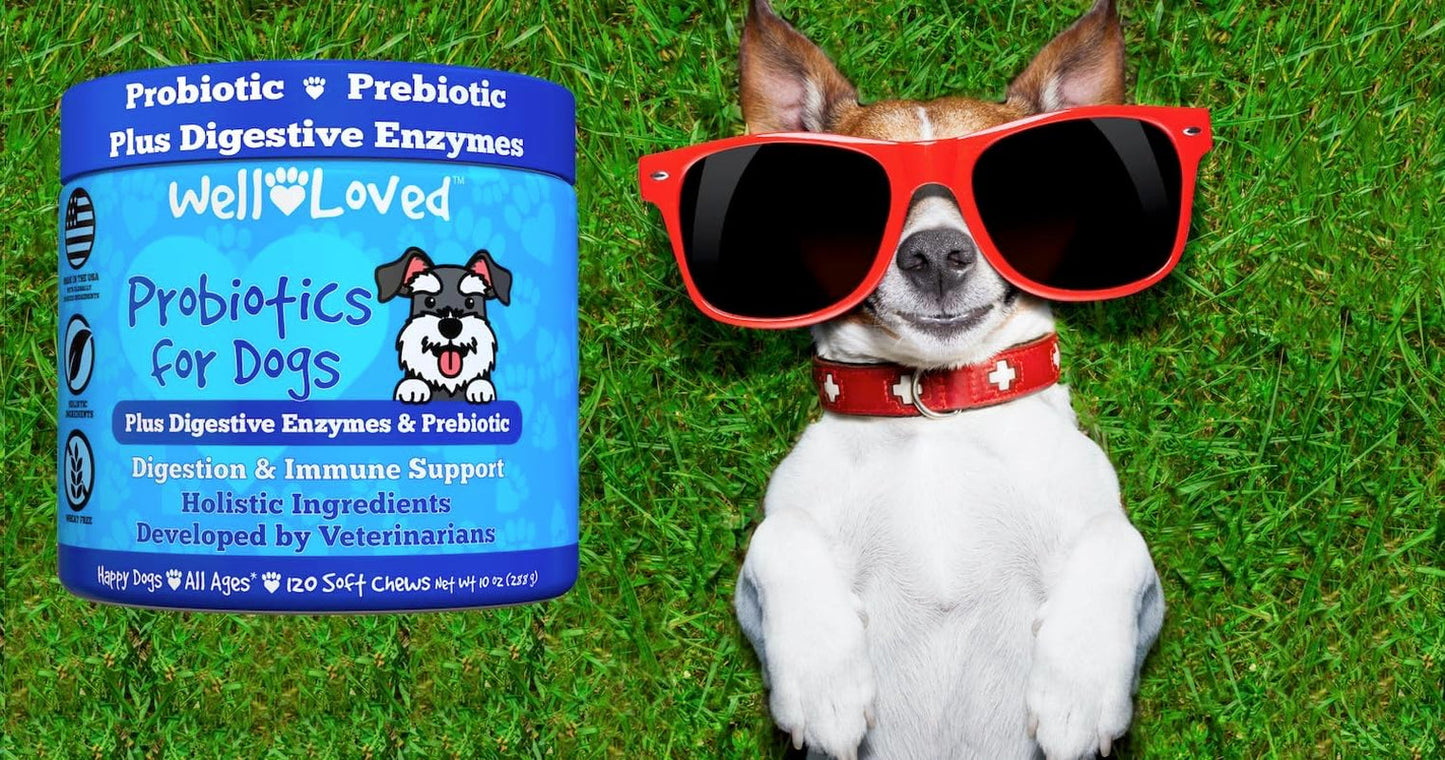 Probiotics for Dogs